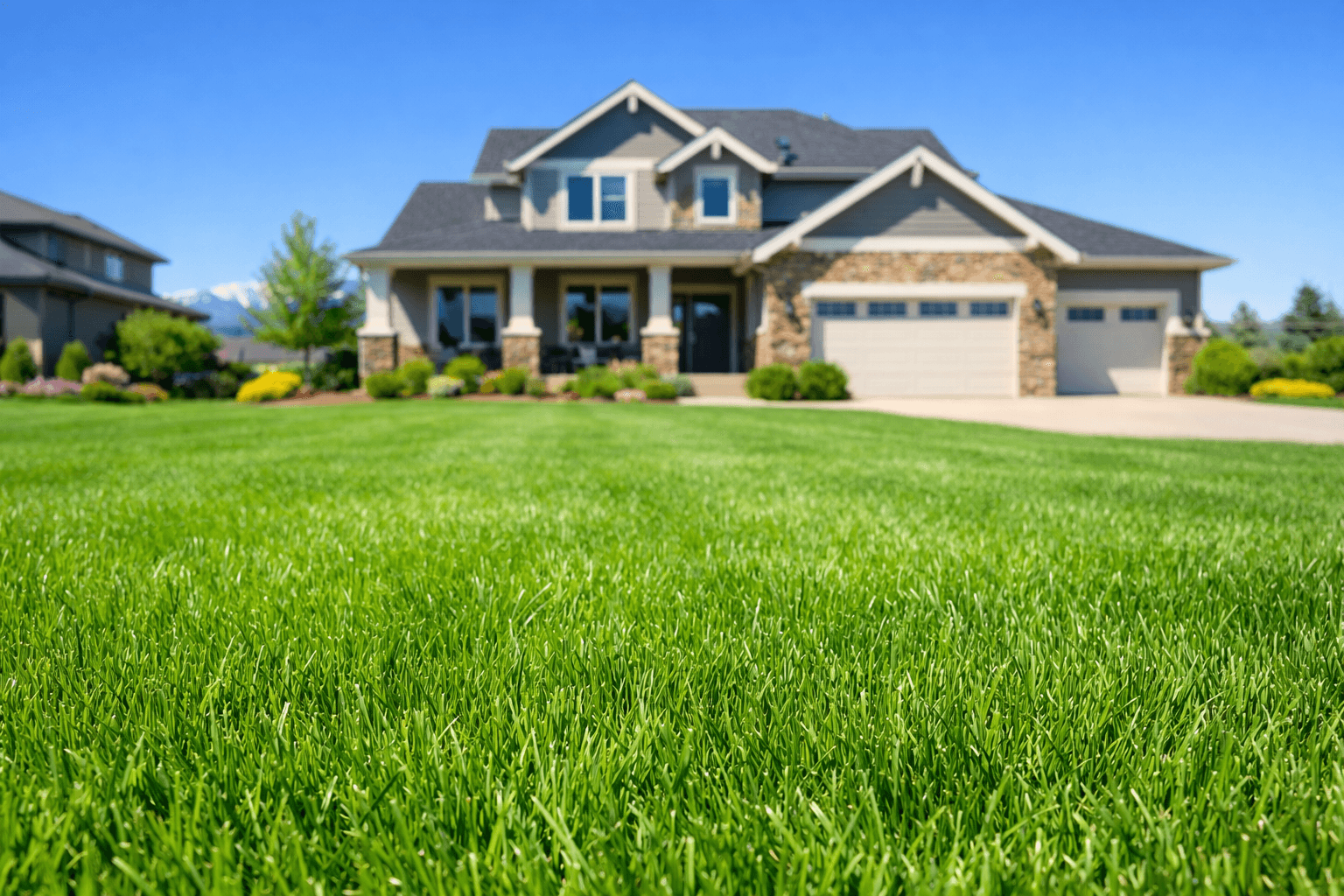 Spring Cleanup & Aeration